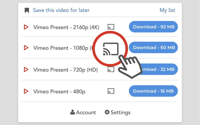 chrome extensions video downloader professional