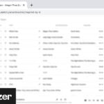 DZR Music Downloader - saver for Spotify