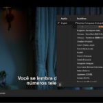 Netflix Subtitles Automatic (beta)