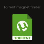 Torrent magnet finder