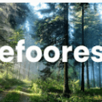 refoorest: plant trees for free