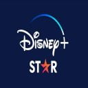 Disney+ & Star+ PIP for google chrome